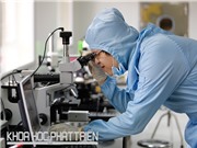 Thưởng cho công bố quốc tế: Bao nhiêu là đủ?