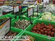 Logistics trong nông nghiệp: Chuỗi cung ứng lạnh