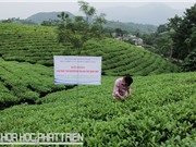 Một số mốc phát triển của Viện Nghiên cứu và Phát triển vùng