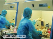 Tại sao cần ngân hàng máu cuống rốn cộng đồng?