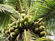 Nên tăng cường thông tin từ Trung, Nam bộ