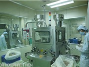 Đà Nẵng: Xây dựng chuỗi giá trị cho dược liệu sạch