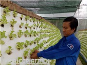 Đứng lên cùng nông nghiệp thẳng đứng