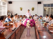 Đồng Tháp: Làm chủ công nghệ sản xuất chế phẩm sinh học trừ rầy