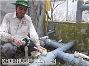 Thay nhân công phun tưới bằng công nghệ tự chế
