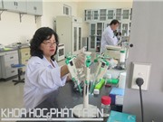 PGS-TS Đinh Thị Bích Lân: Không có điểm dừng trong nghiên cứu