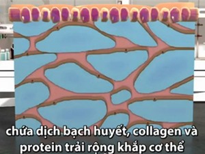 Phát hiện cơ quan mới trong cơ thể làm lan tế bào ung thư