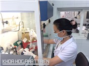 Bộ kit nhuộm hóa học: Chẩn đoán chính xác 85% bệnh bạch cầu cấp