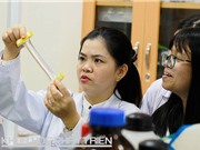 TS Nguyễn Thị Hiệp: Tác giả của giải pháp sơ cứu cho người sống xa bệnh viện