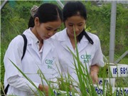 Tác quyền, món tiền an ủi!