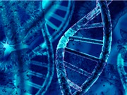 Kỹ thuật CRISPR không tế bào giúp cá nhân hóa việc điều trị ung thư