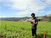 Nông dân trẻ làm vườn từ xa bằng... điện thoại thông minh