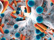 Loại gene nhờn kháng sinh nguy hiểm đang lan khắp thế giới 