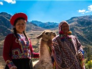 Người Siberia trở thành dân bản địa Châu Mỹ đầu tiên như thế nào? 