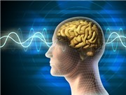 Não làm việc như thế nào trong khi ngủ?