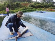 Kon Tum: Khuyến khích DN đầu tư vào ‘tam nông’