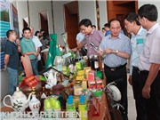 Trung du và miền núi phía Bắc trước thềm công nghiệp 4.0