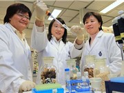 Trung Quốc đầu tư cho nghiên cứu ở Hồng Kông