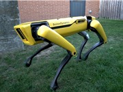 [Video] Robot chó biết tuần tra và giúp việc nhà sắp có mặt trên thị trường 