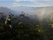 Hạn chế nhà khoa học nước ngoài gây bất lợi cho Indonesia?