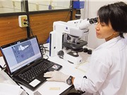 Dự thảo luật của Indonesia nhằm kiểm soát các nhà khoa học nước ngoài 