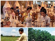 Chính sách mới có hiệu lực từ tháng 6/2018