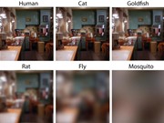 Nàng Mona Lisa trong mắt các con vật