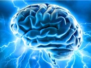 [Infographic] Những điều thú vị về bộ não người