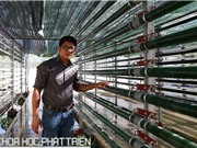 Tạo giá trị khác biệt trên những địa hạt đã “thâm canh”