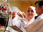 Malaysia: Năm lĩnh vực công nghệ ưu tiên