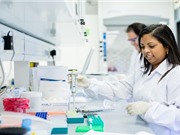 Singapore đẩy mạnh nghiên cứu sinh học tổng hợp