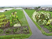 Có một cánh đồng lúa đặc biệt chuyên tạo ra các nhân vật hoạt hình nổi tiếng ở Nhật Bản