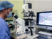 4 công trình y khoa đoạt giải thưởng Alexandre Yersin: Tính mới và tầm ảnh hưởng