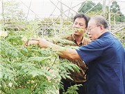 Cần chuyển sang hệ thống đổi mới nông nghiệp