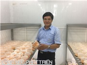 TS Ngô Xuân Nghiễn: Chuyển giao để thu tiền thì đơn giản, điều quan trọng là cam kết thành công