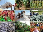 Chương trình KHCN phục vụ xây dựng NTM: Phát huy lợi thế của từng vùng, miền