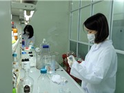 Đánh giá ĐMST doanh nghiệp: Những kết quả bước đầu