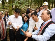 Khánh thành Trung tâm Quốc gia nghiên cứu và phát triển sâm Ngọc Linh