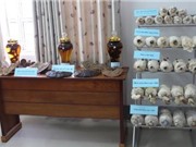 Kiên Giang: Thu thập, lưu trữ, bảo tồn một số nguồn gen nấm có giá trị kinh tế