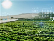Microsoft: Gợi ý 5 ứng dụng AI ở châu Á