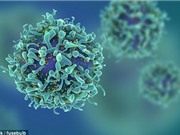 Thuốc chữa dứt HIV sắp ra đời?