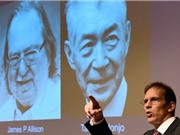 Tiếp cận đột phá về miễn dịch ung thư giành Nobel Y sinh 2018