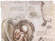 Chân dung Leonardo da Vinci của Walter Isaacson