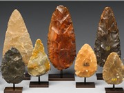 Tại sao loài Homo Sapiens sống sót đến kỷ nguyên hiện đại?: Những người sống sót cuối cùng