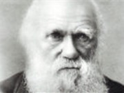 9 lý do chứng minh thuyết tiến hóa của Darwin sai