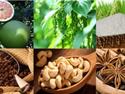 Nông sản Việt: Mất thương hiệu nếu không quan tâm đến sở hữu trí tuệ
