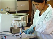 Các nhà khoa học Colombia “giải cứu” cây cà phê
