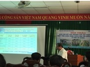 An Giang: Xây dựng mô hình nuôi tôm càng xanh thích ứng với biến đổi khí hậu