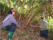 Sở KH&CN Hà Giang tuyển chọn thực hiện đề tài 