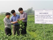 Vĩnh Phúc: Kiểm tra tiến độ một số nhiệm vụ KH&CN thực hiện năm 2018